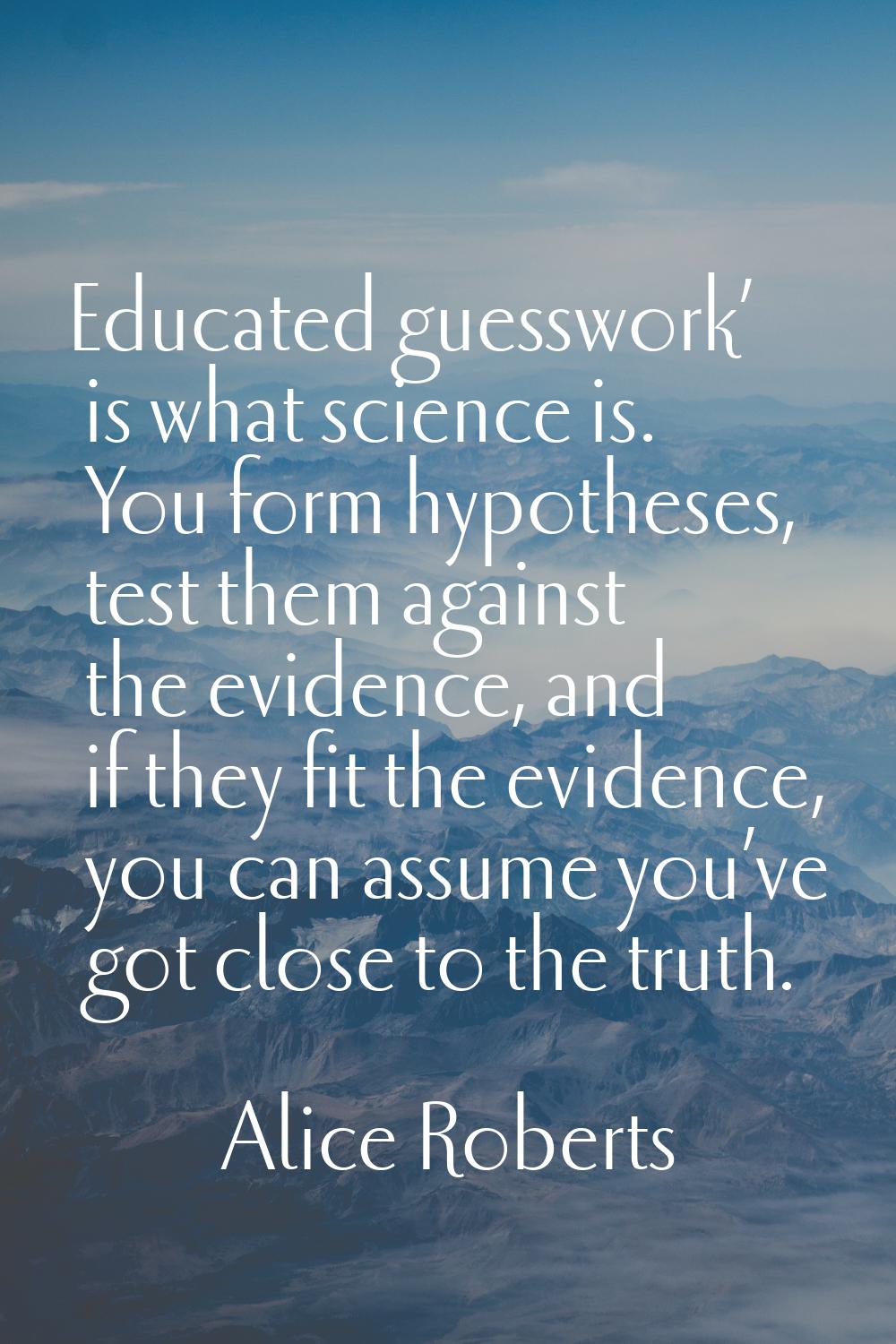 Educated guesswork’ is what science is. You form hypotheses, test them against the evidence, and if