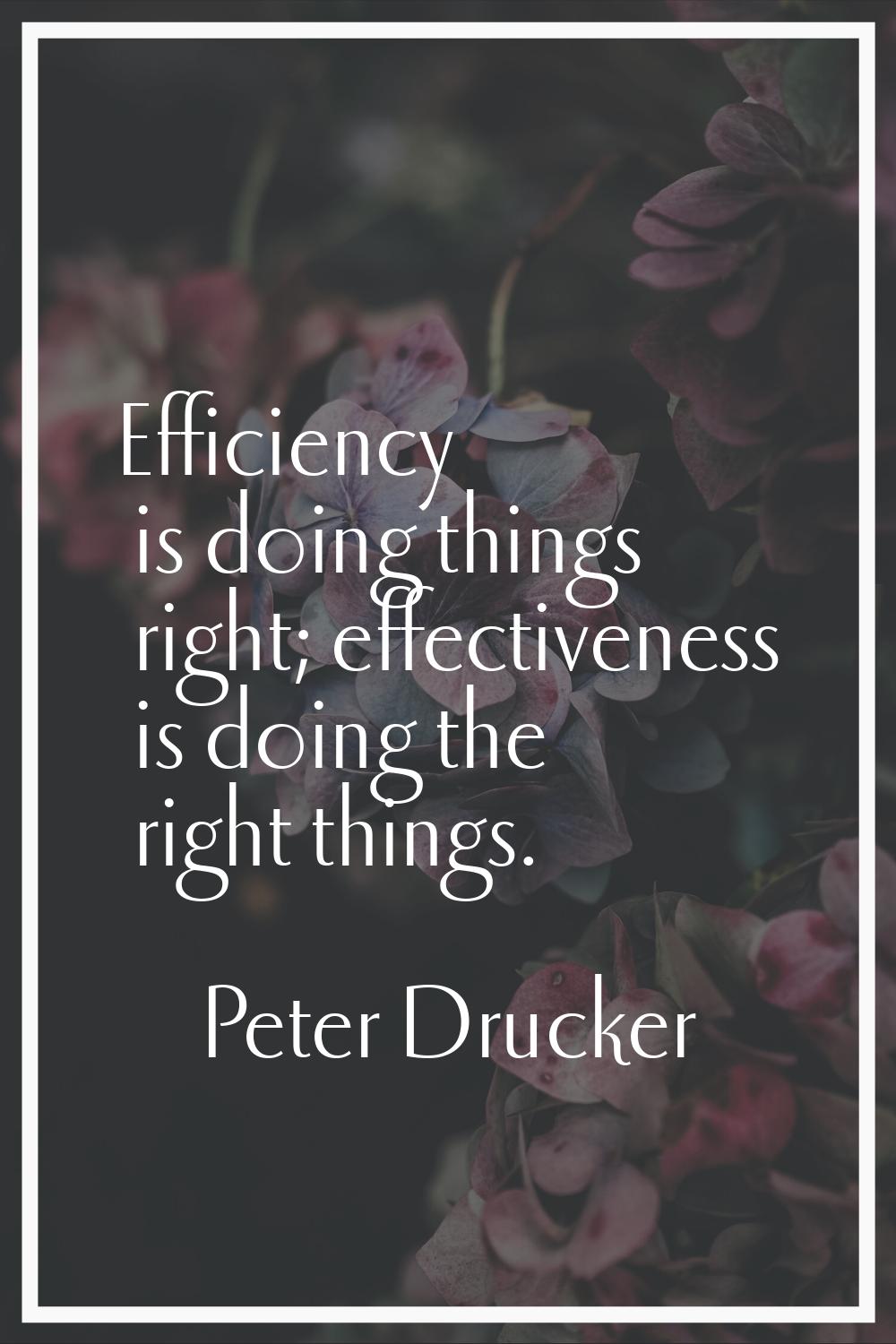 Efficiency is doing things right; effectiveness is doing the right things.