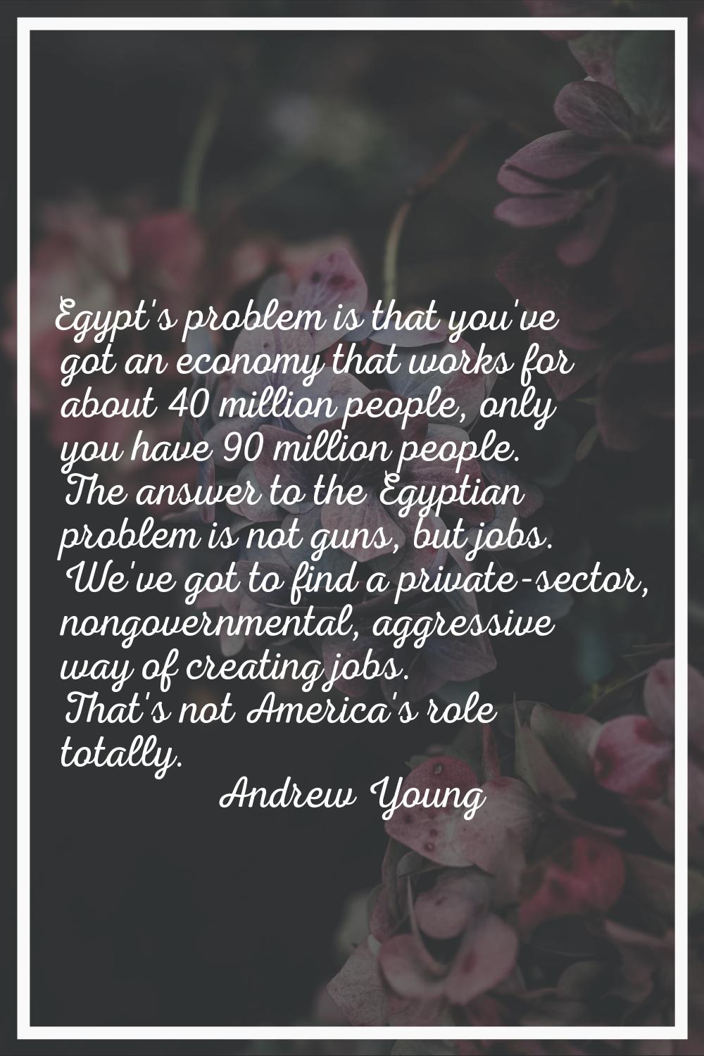 Egypt's problem is that you've got an economy that works for about 40 million people, only you have