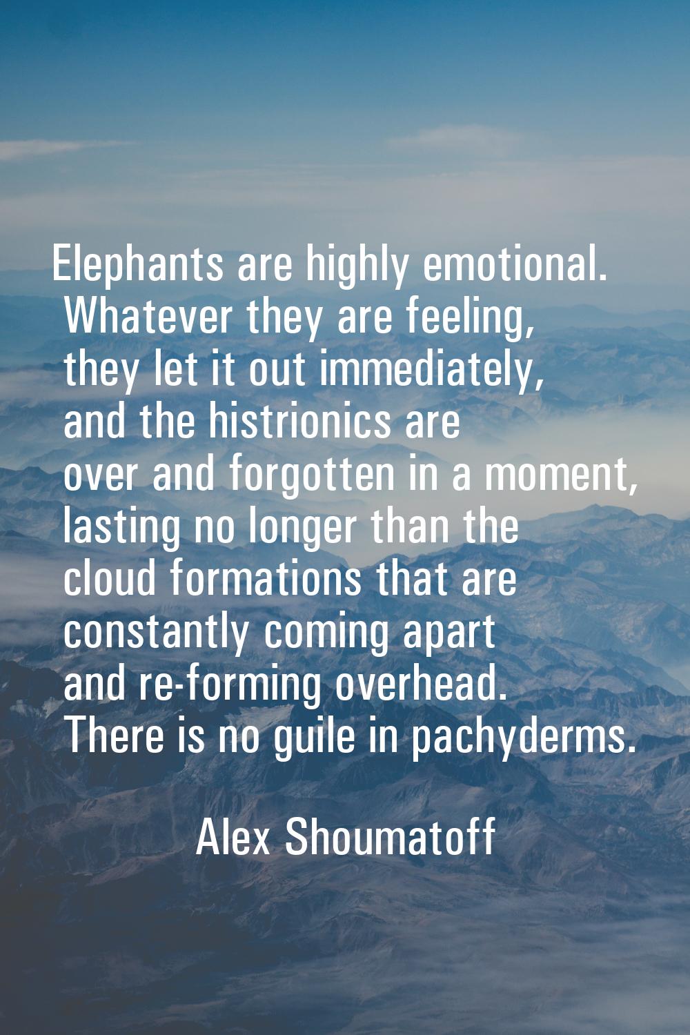 Elephants are highly emotional. Whatever they are feeling, they let it out immediately, and the his