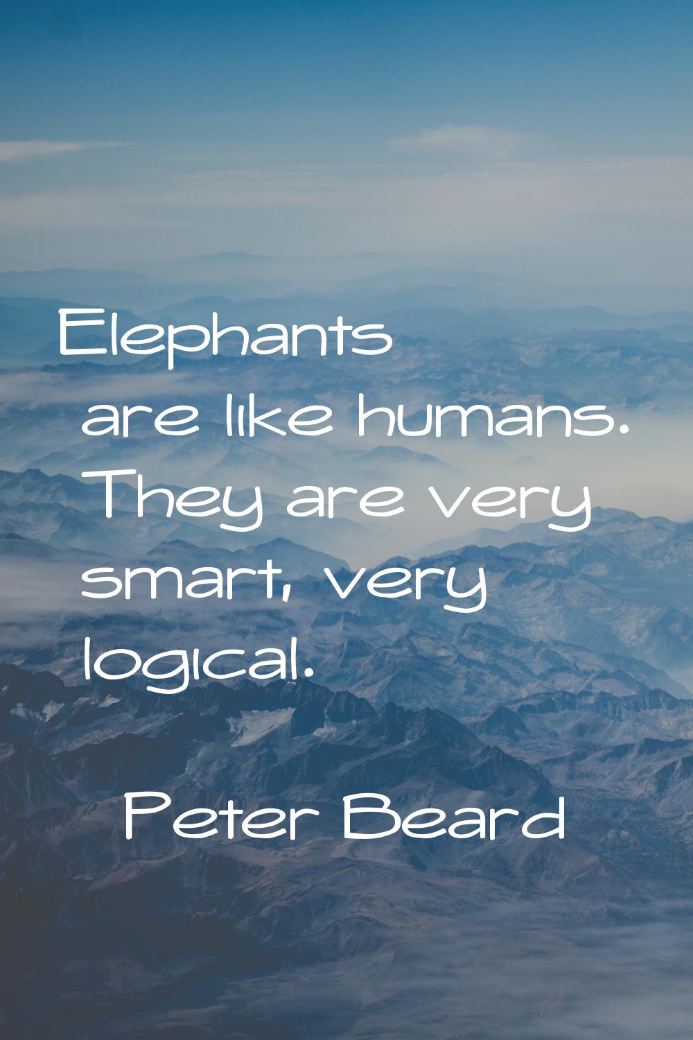 Elephants are like humans. They are very smart, very logical.