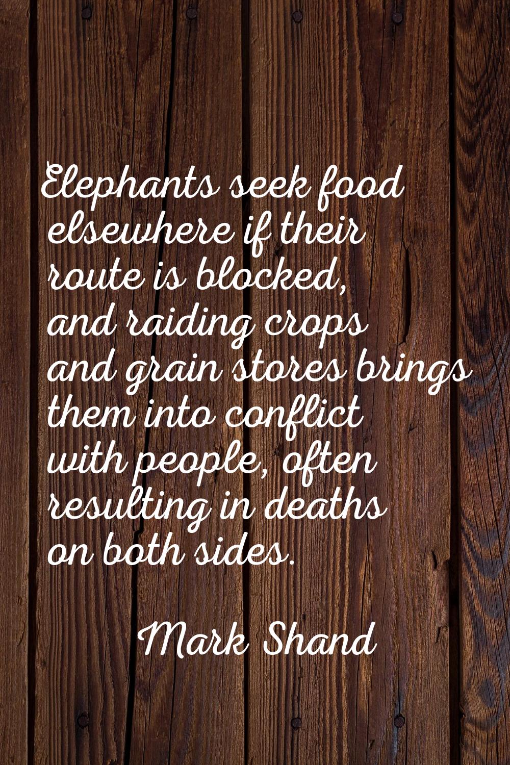 Elephants seek food elsewhere if their route is blocked, and raiding crops and grain stores brings 