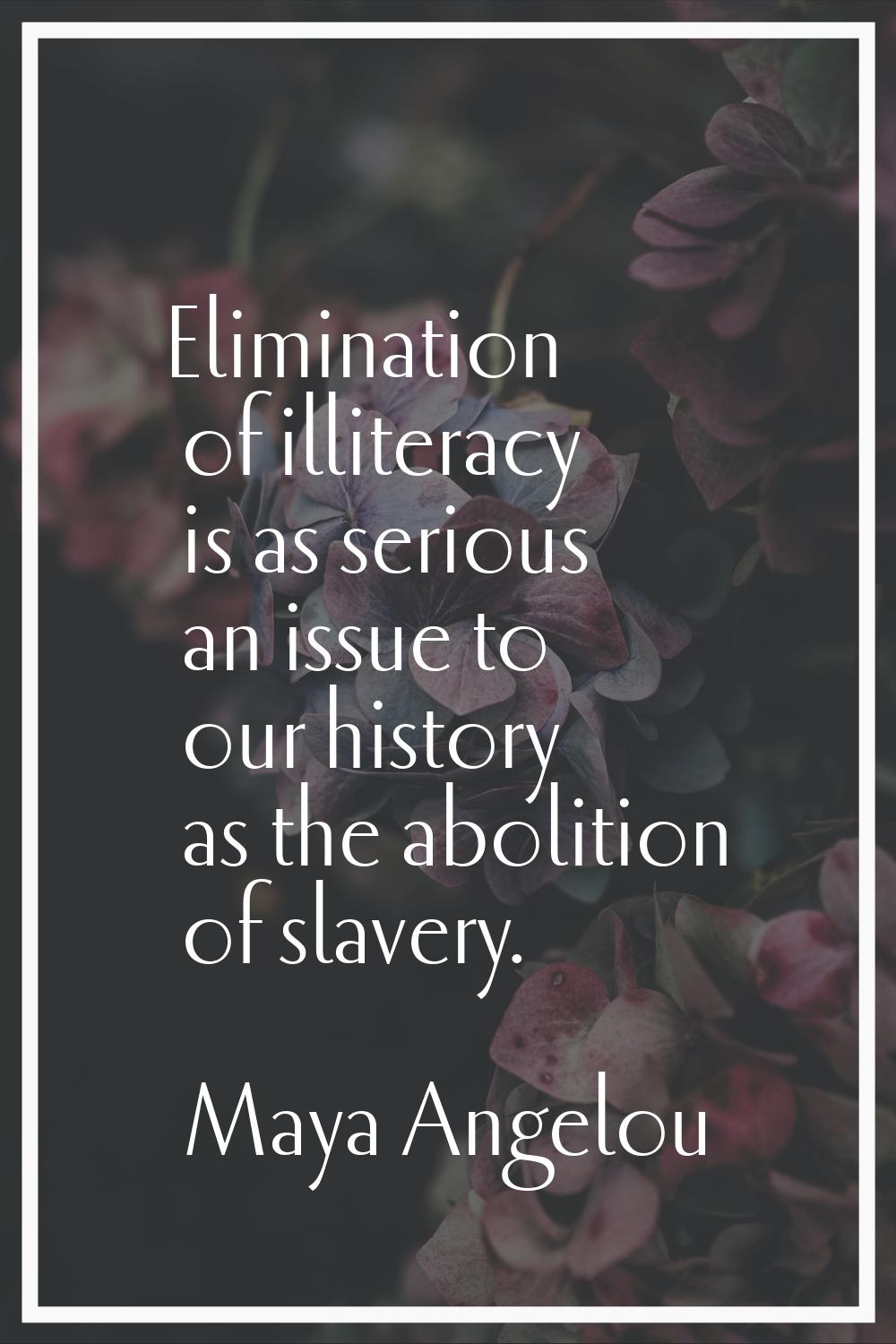 Elimination of illiteracy is as serious an issue to our history as the abolition of slavery.