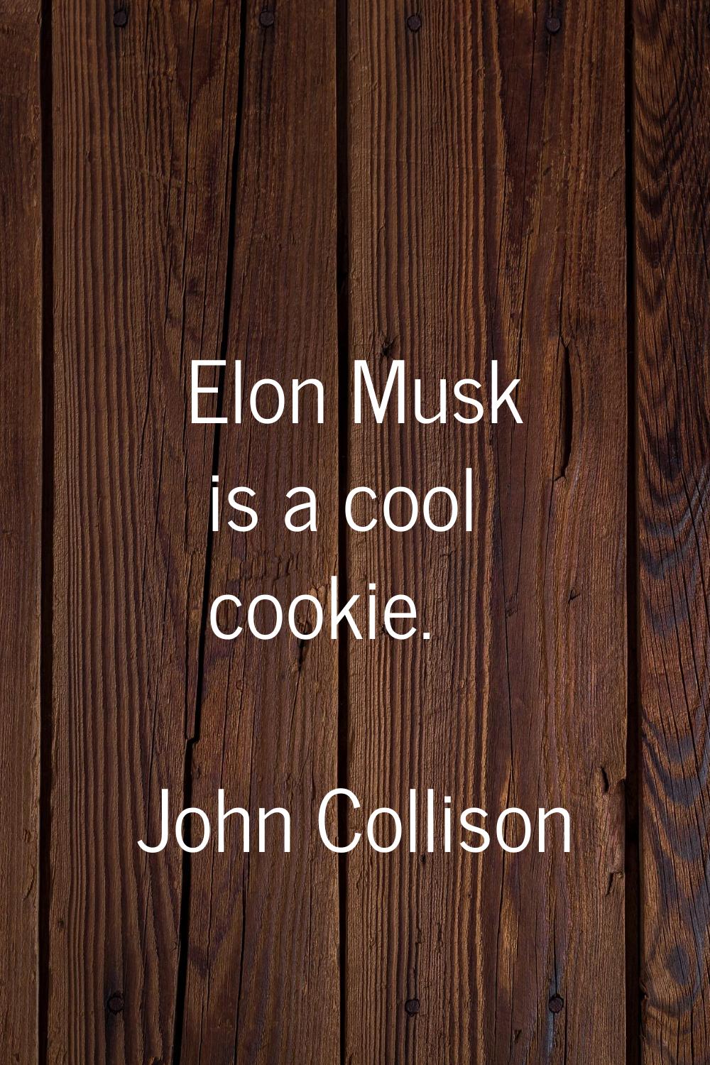 Elon Musk is a cool cookie.