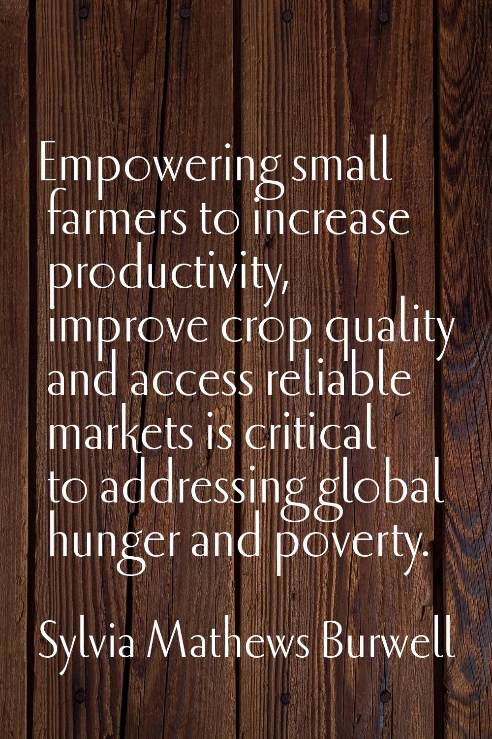 Empowering small farmers to increase productivity, improve crop quality and access reliable markets