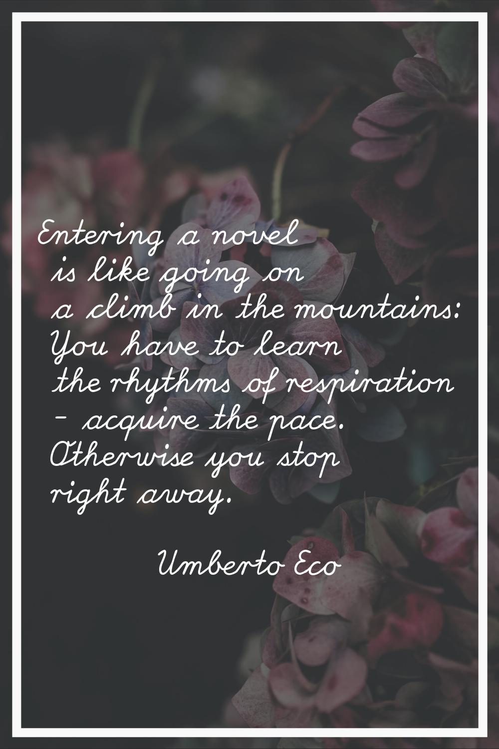Entering a novel is like going on a climb in the mountains: You have to learn the rhythms of respir