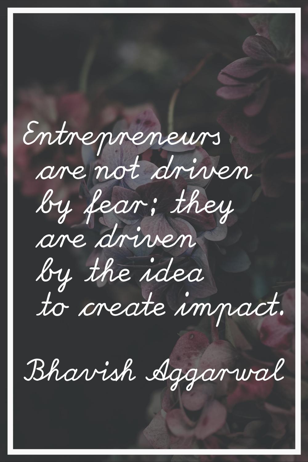 Entrepreneurs are not driven by fear; they are driven by the idea to create impact.