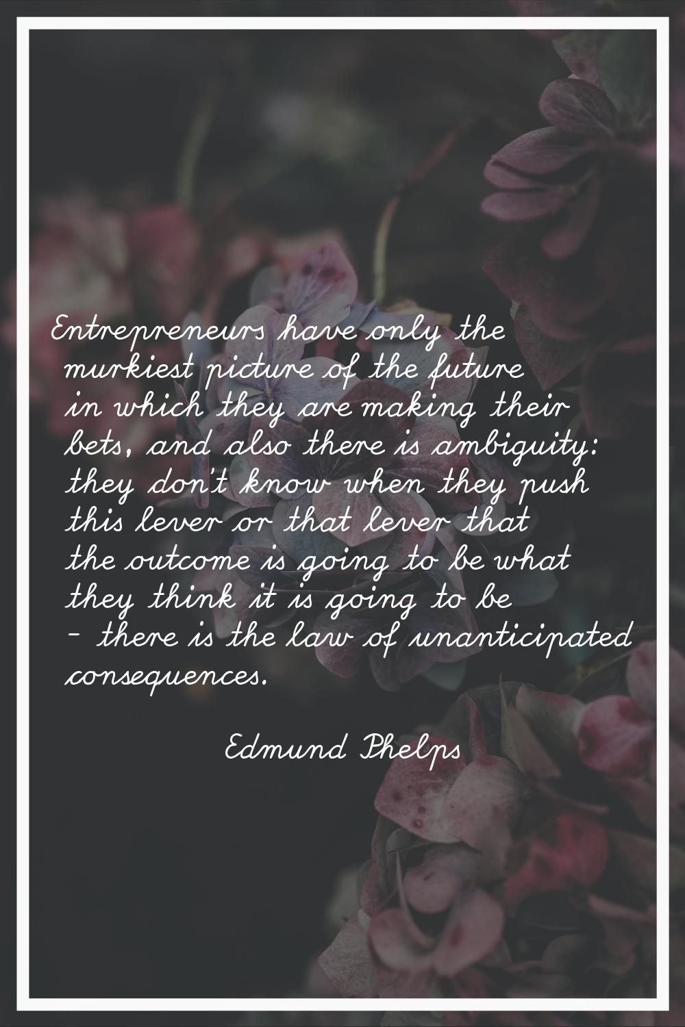 Entrepreneurs have only the murkiest picture of the future in which they are making their bets, and
