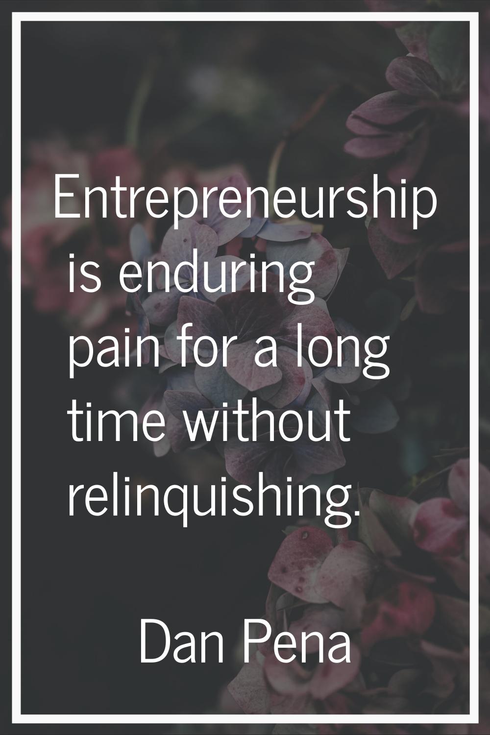 Entrepreneurship is enduring pain for a long time without relinquishing.