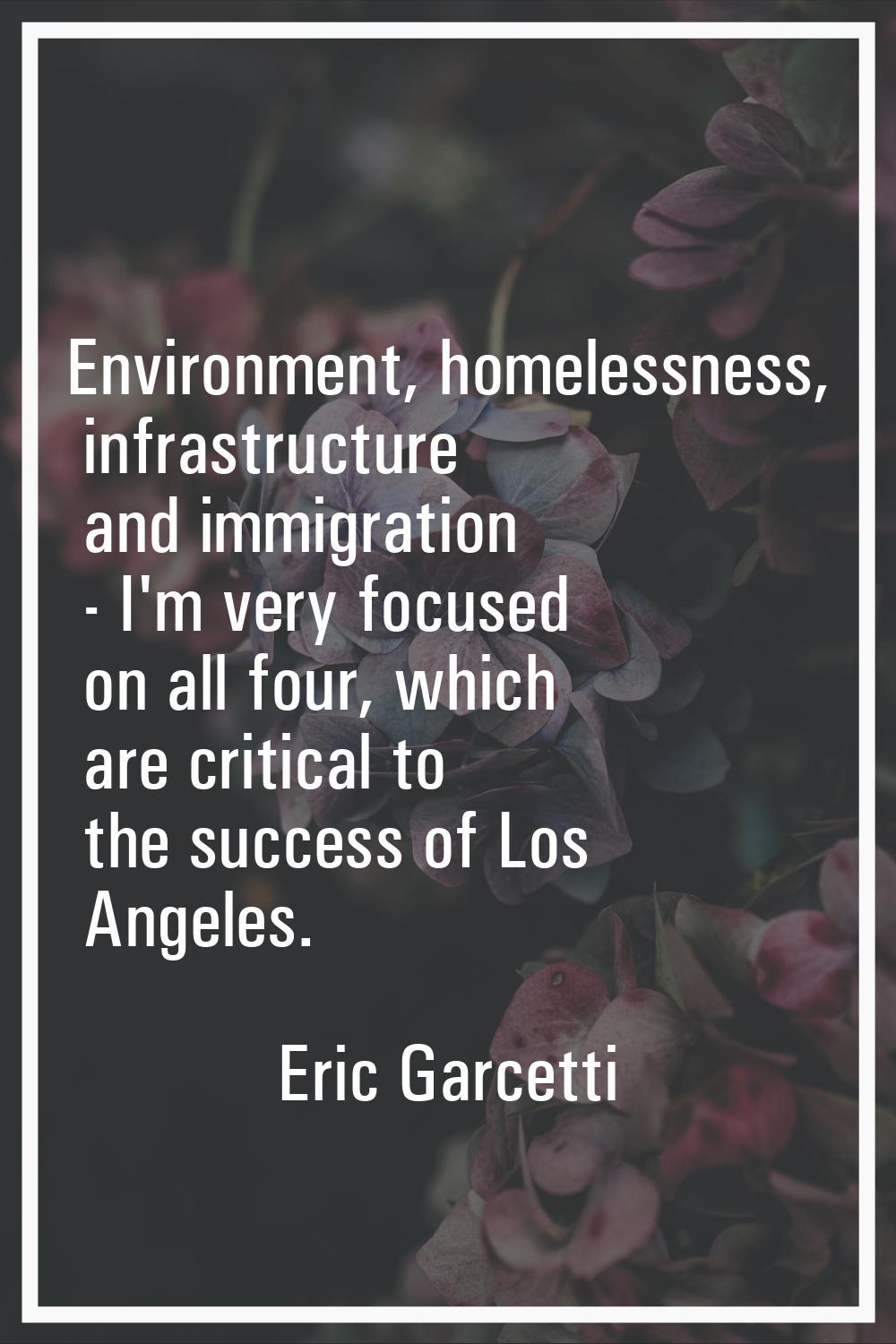 Environment, homelessness, infrastructure and immigration - I'm very focused on all four, which are
