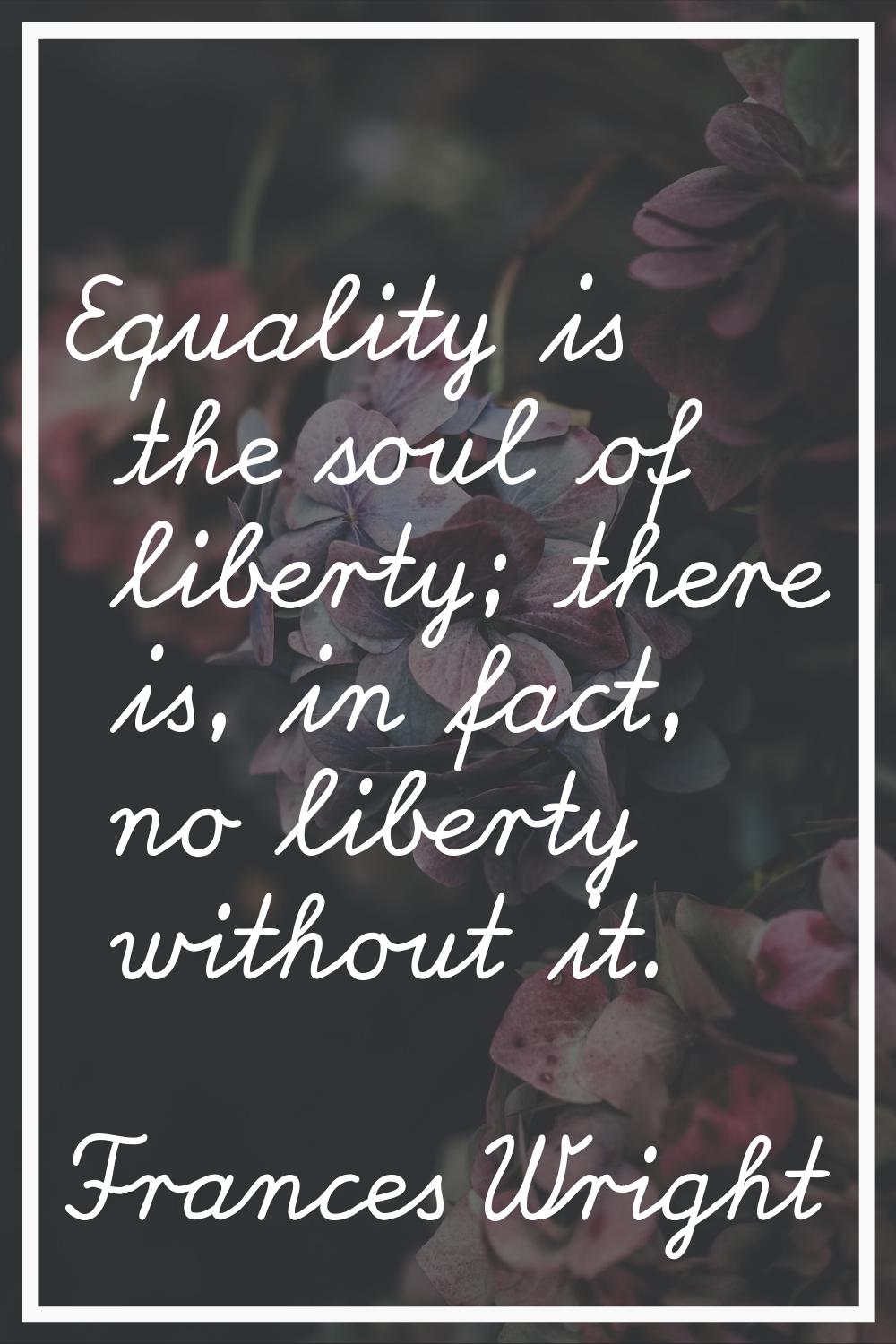 Equality is the soul of liberty; there is, in fact, no liberty without it.