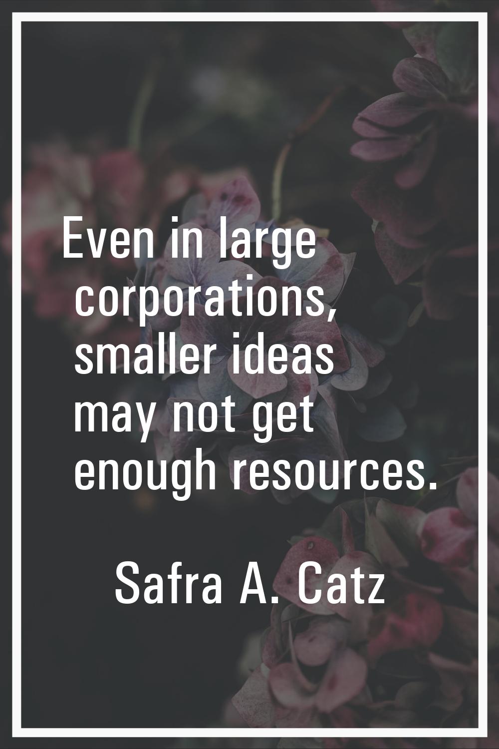 Even in large corporations, smaller ideas may not get enough resources.
