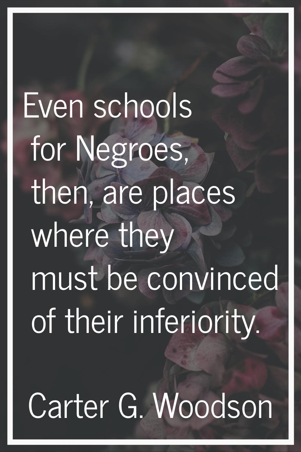 Even schools for Negroes, then, are places where they must be convinced of their inferiority.