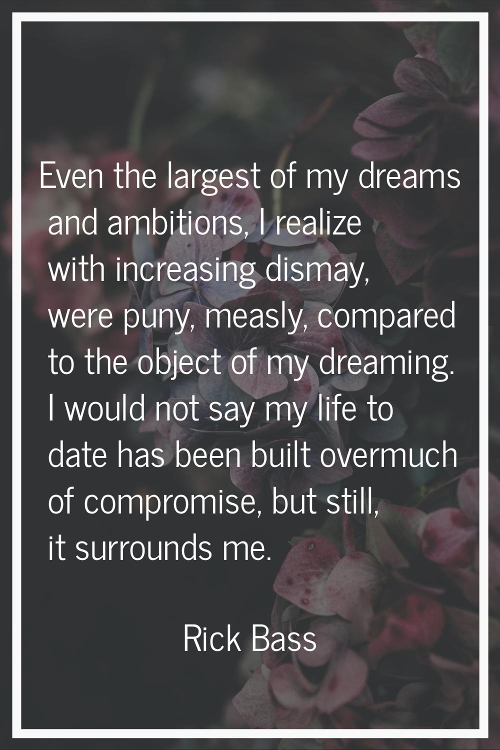 Even the largest of my dreams and ambitions, I realize with increasing dismay, were puny, measly, c