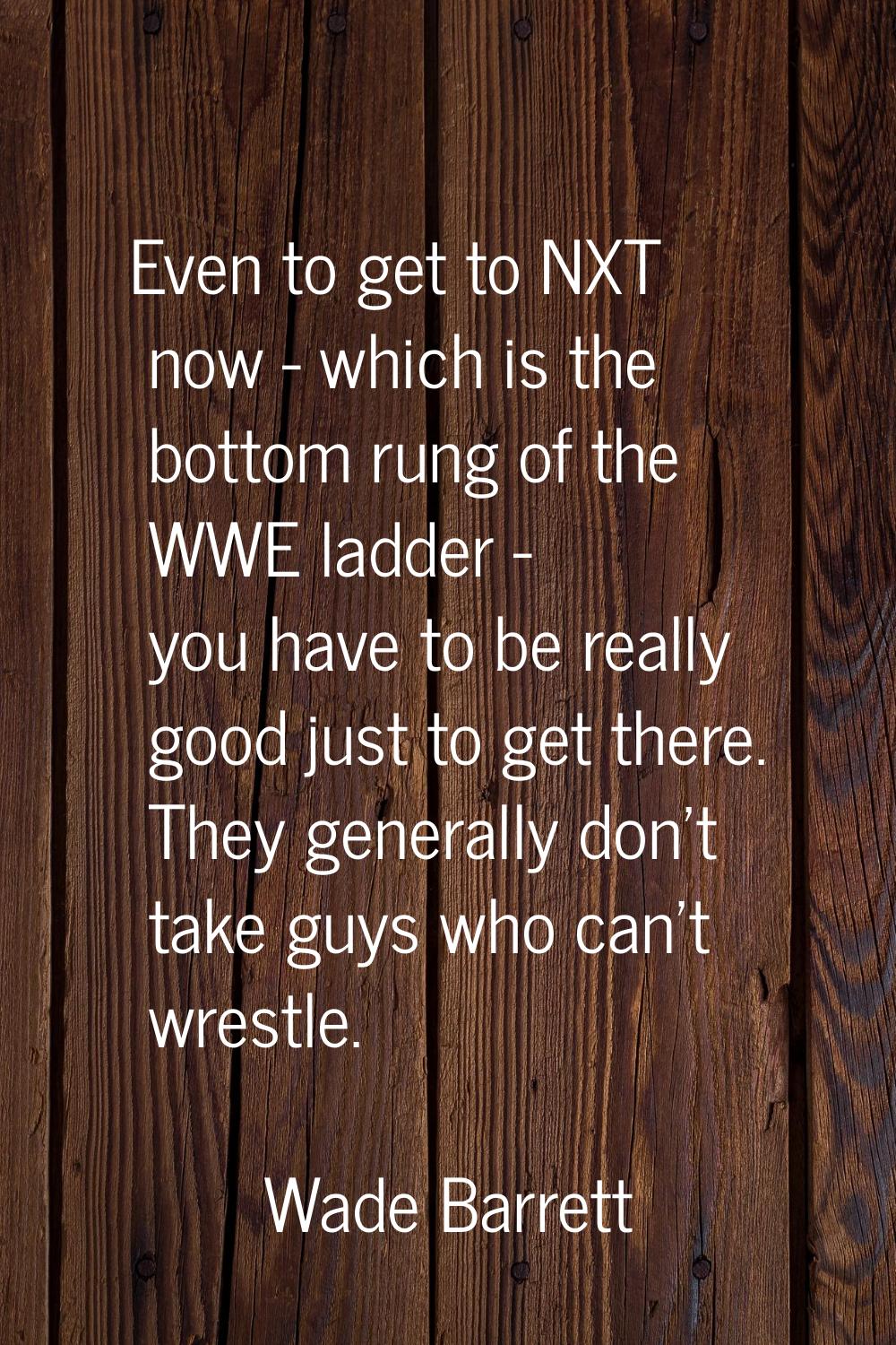 Even to get to NXT now - which is the bottom rung of the WWE ladder - you have to be really good ju