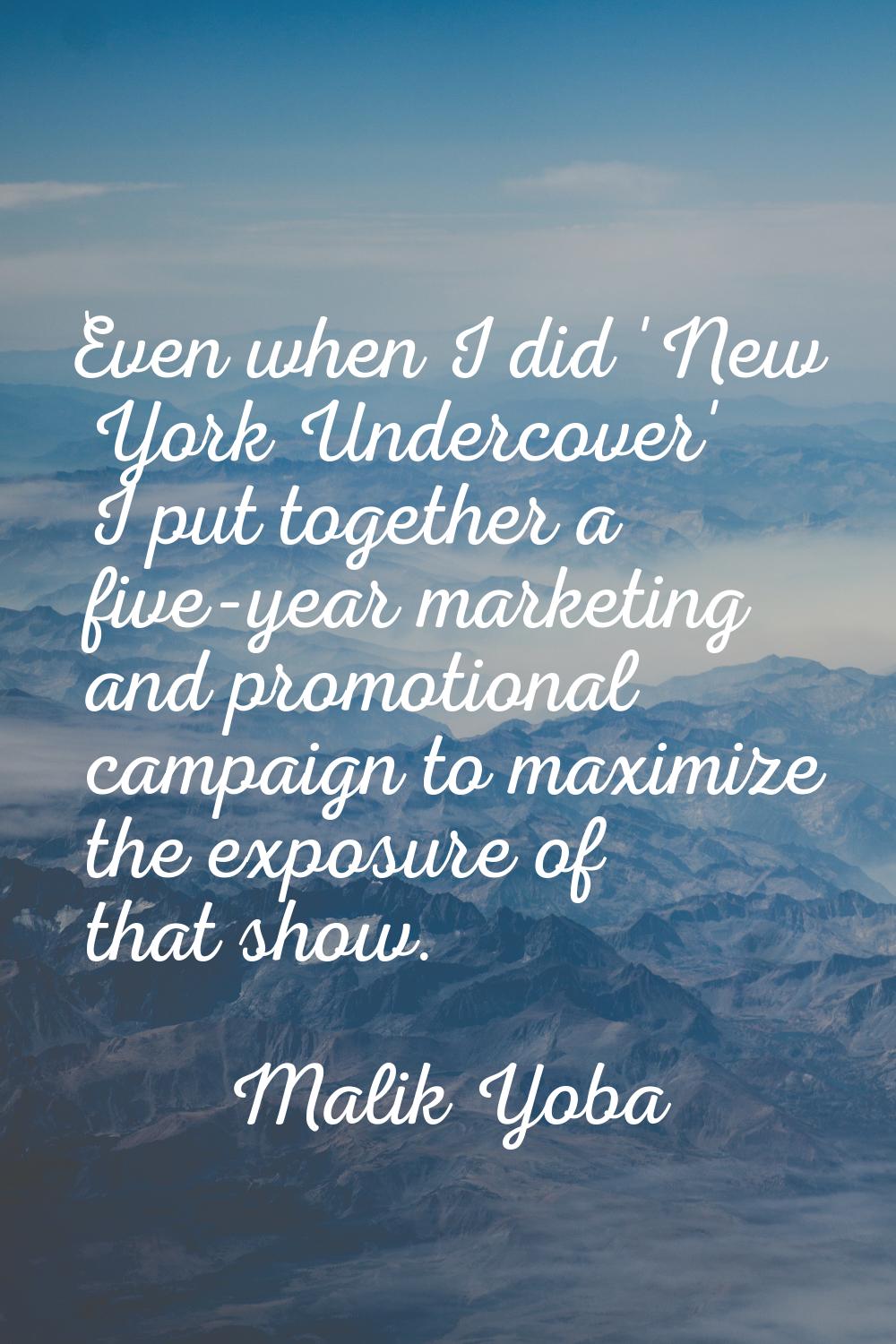 Even when I did 'New York Undercover' I put together a five-year marketing and promotional campaign