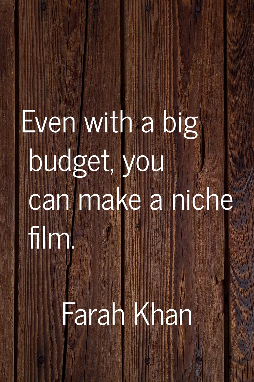 Even with a big budget, you can make a niche film.