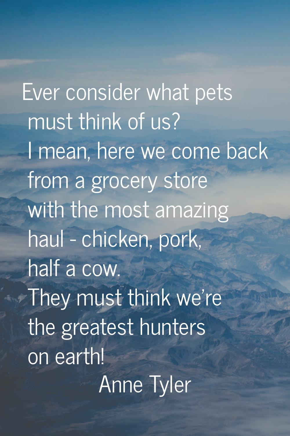 Ever consider what pets must think of us? I mean, here we come back from a grocery store with the m