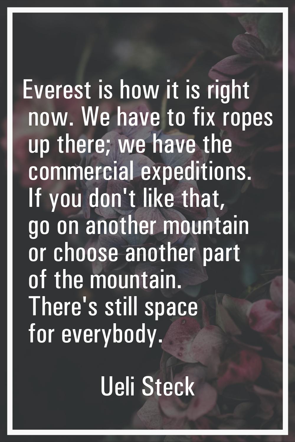 Everest is how it is right now. We have to fix ropes up there; we have the commercial expeditions. 