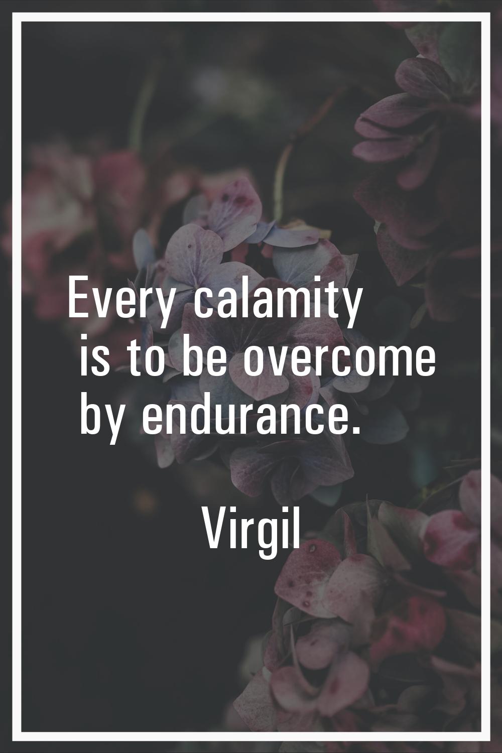 Every calamity is to be overcome by endurance.