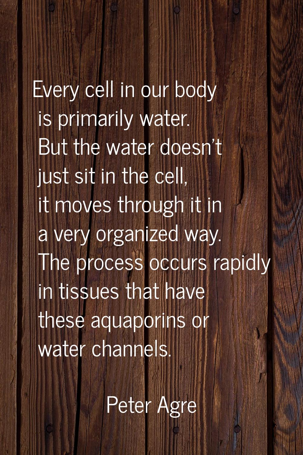 Every cell in our body is primarily water. But the water doesn't just sit in the cell, it moves thr