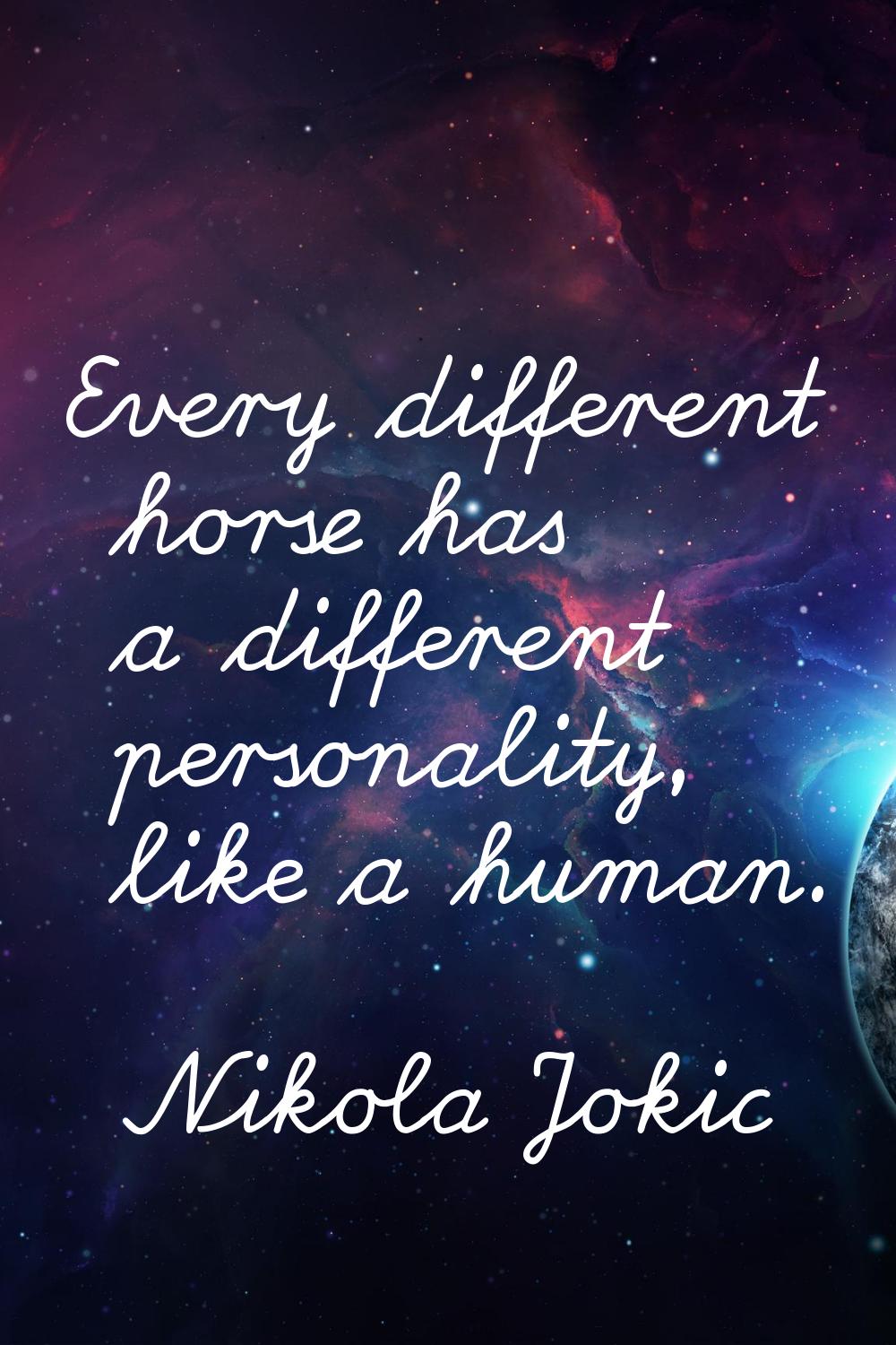 Every different horse has a different personality, like a human.