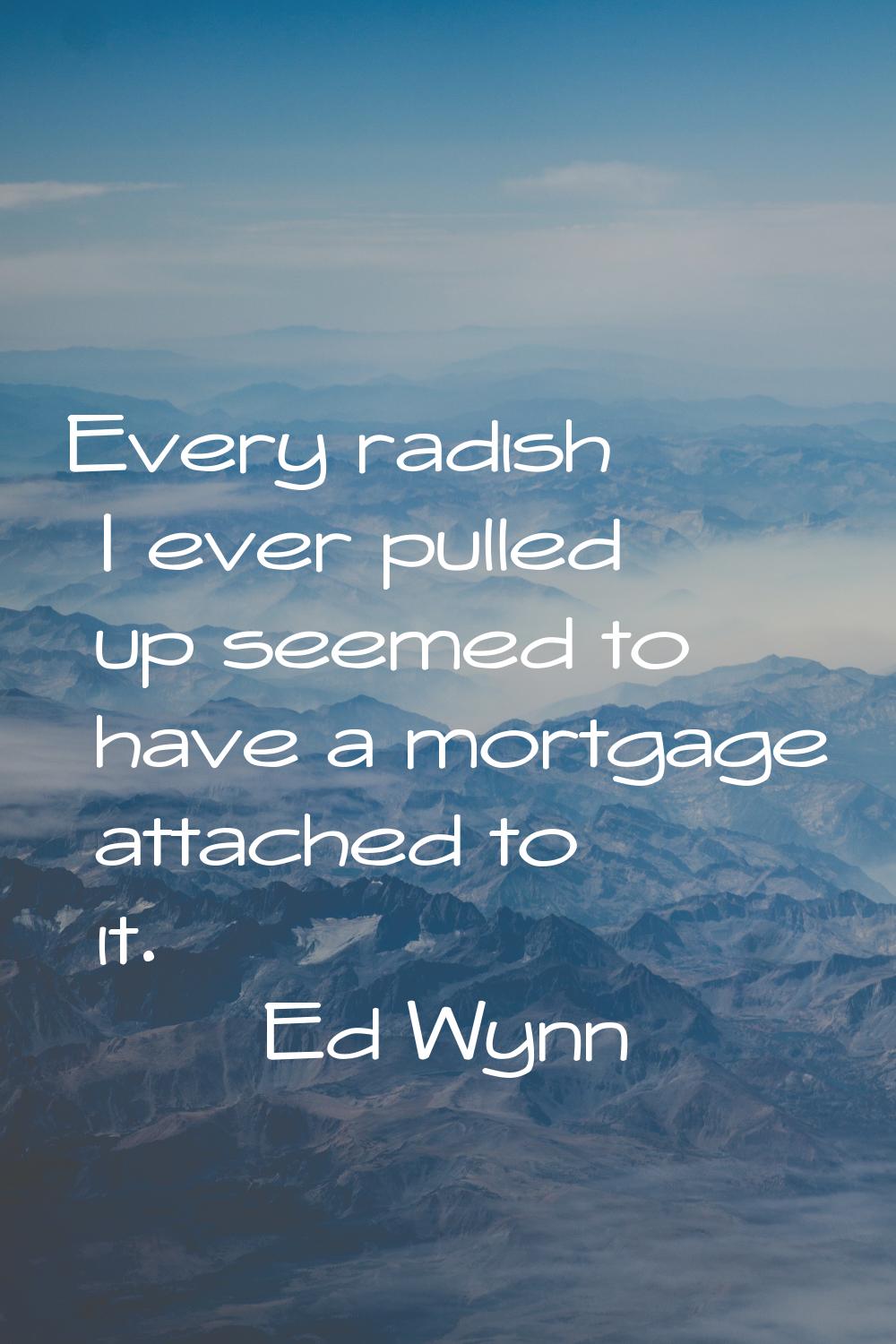 Every radish I ever pulled up seemed to have a mortgage attached to it.