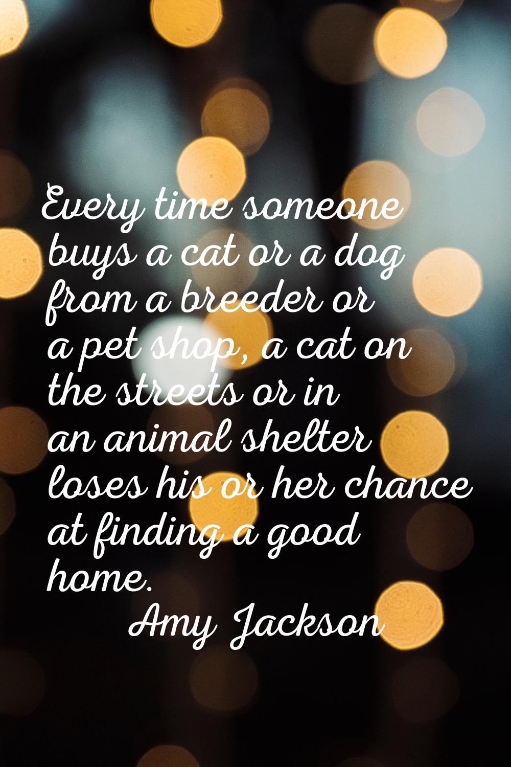 Every time someone buys a cat or a dog from a breeder or a pet shop, a cat on the streets or in an 