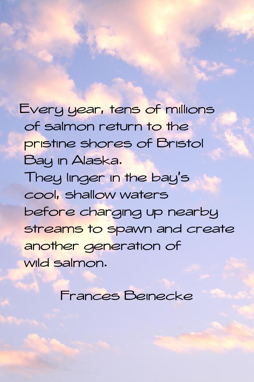 Every year, tens of millions of salmon return to the pristine shores of Bristol Bay in Alaska. They