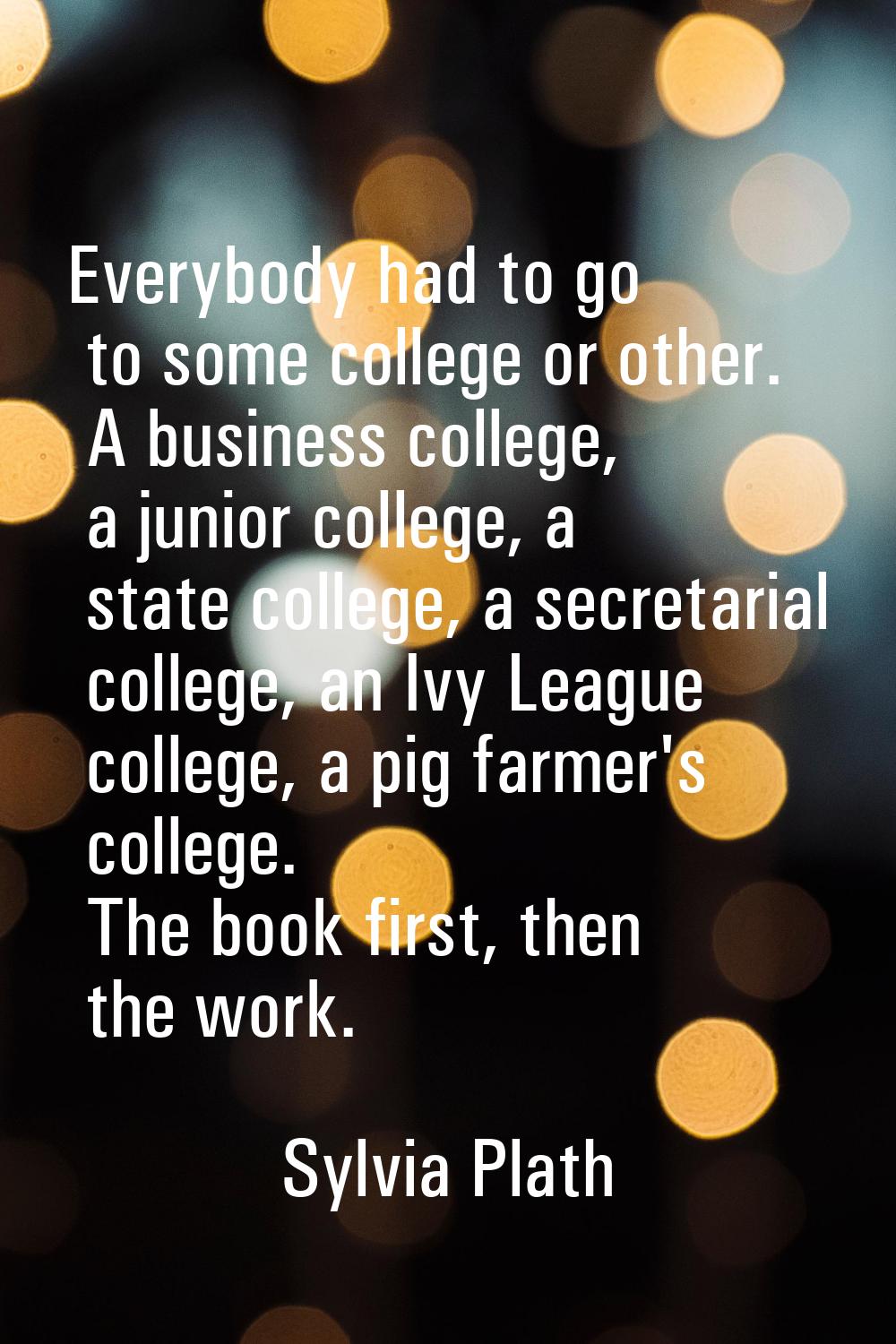Everybody had to go to some college or other. A business college, a junior college, a state college
