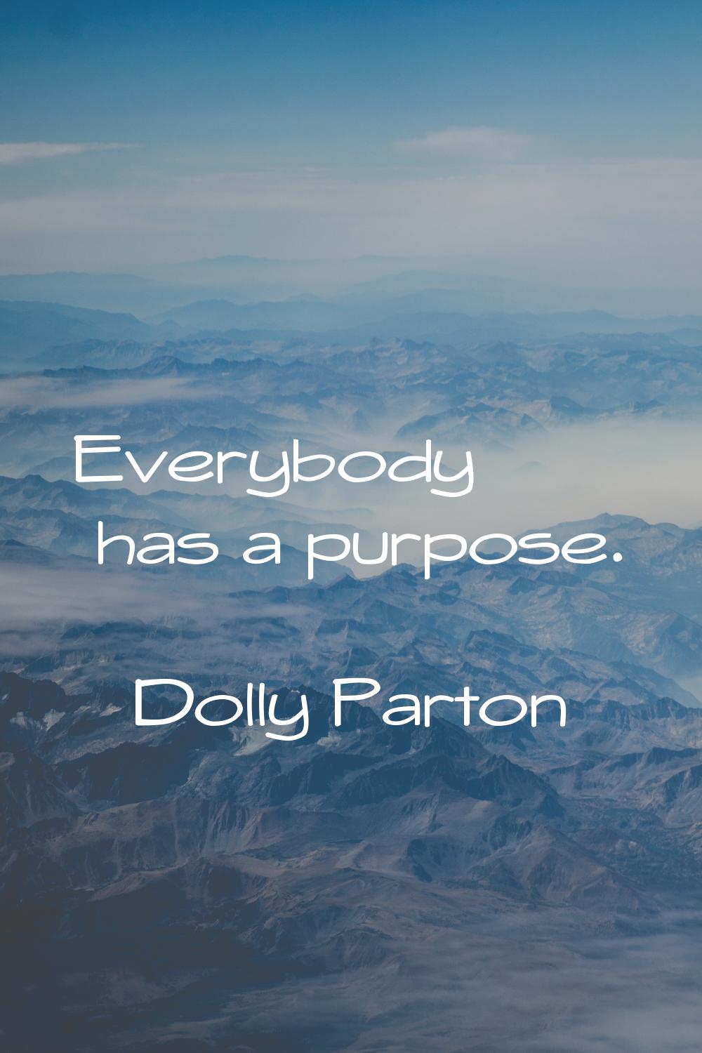 Everybody has a purpose.