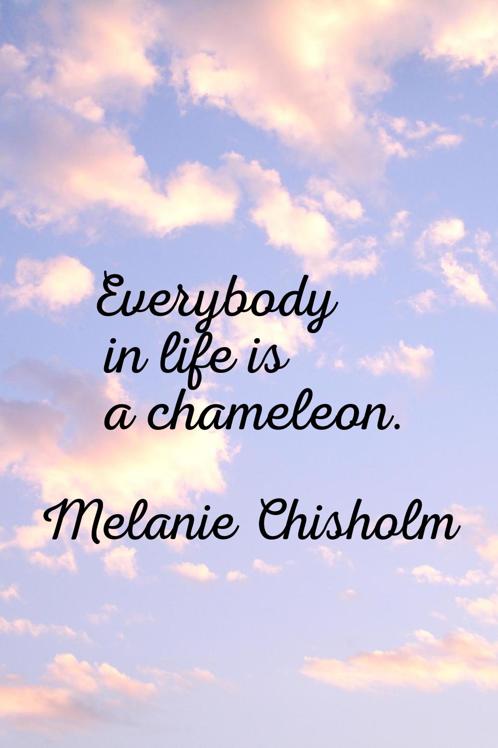 Everybody in life is a chameleon.