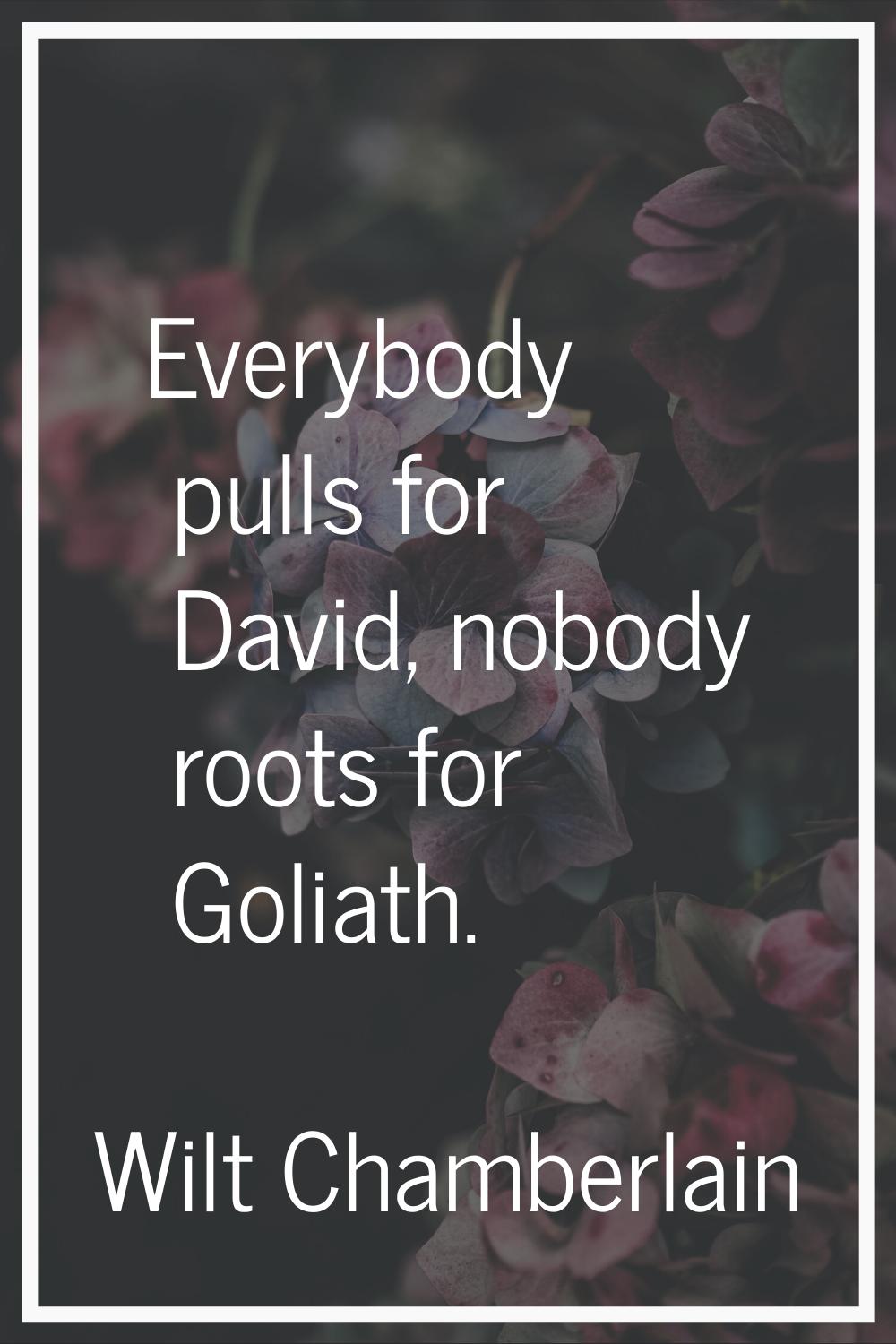 Everybody pulls for David, nobody roots for Goliath.