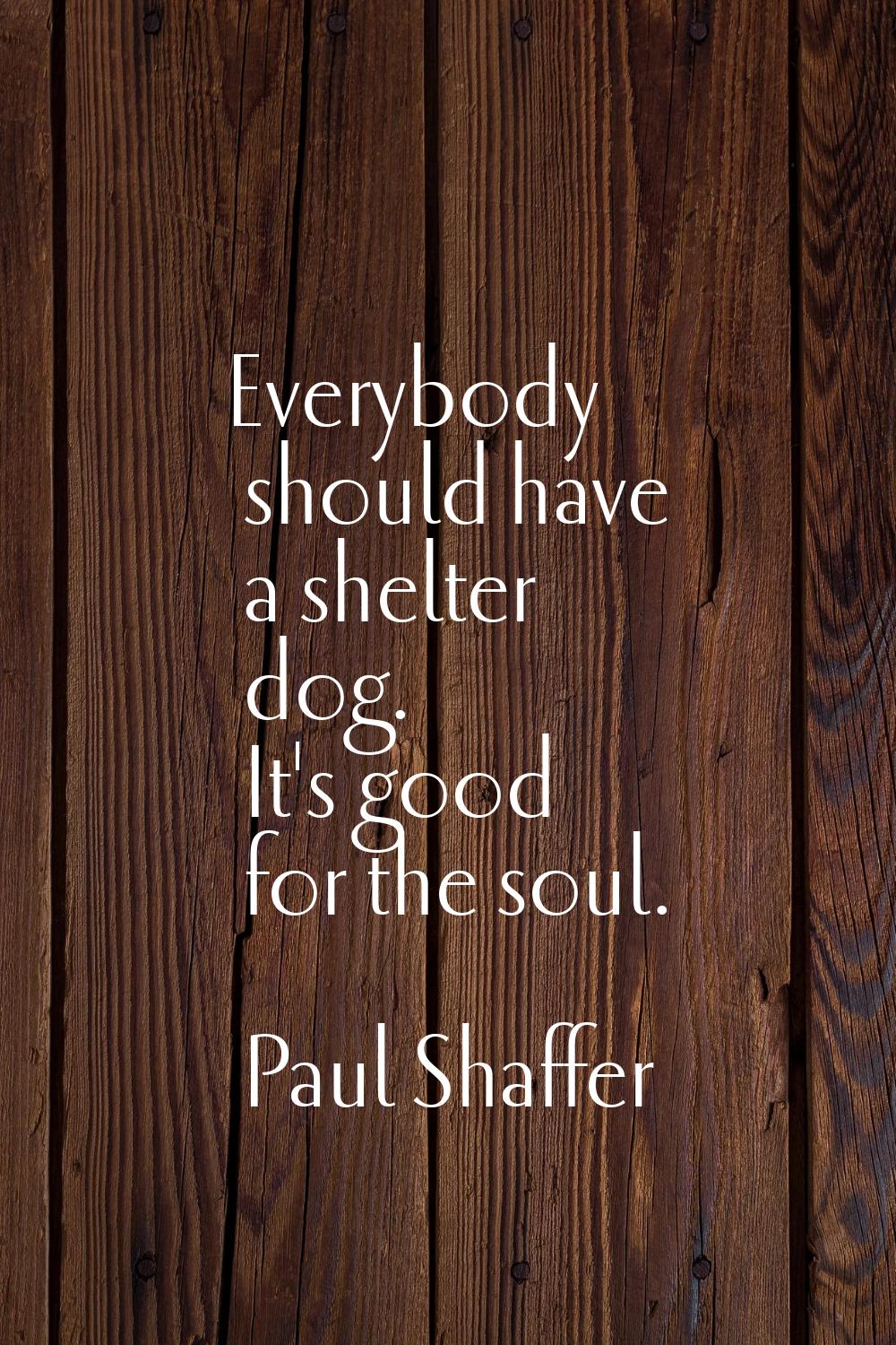 Everybody should have a shelter dog. It's good for the soul.