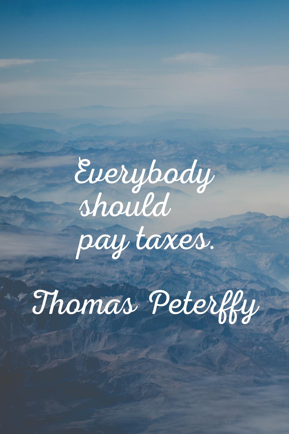 Everybody should pay taxes.