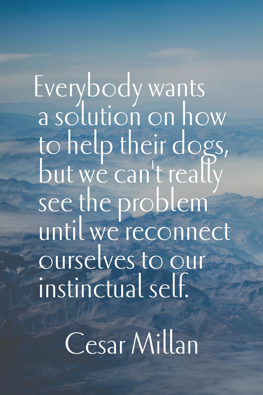 Everybody wants a solution on how to help their dogs, but we can't really see the problem until we 
