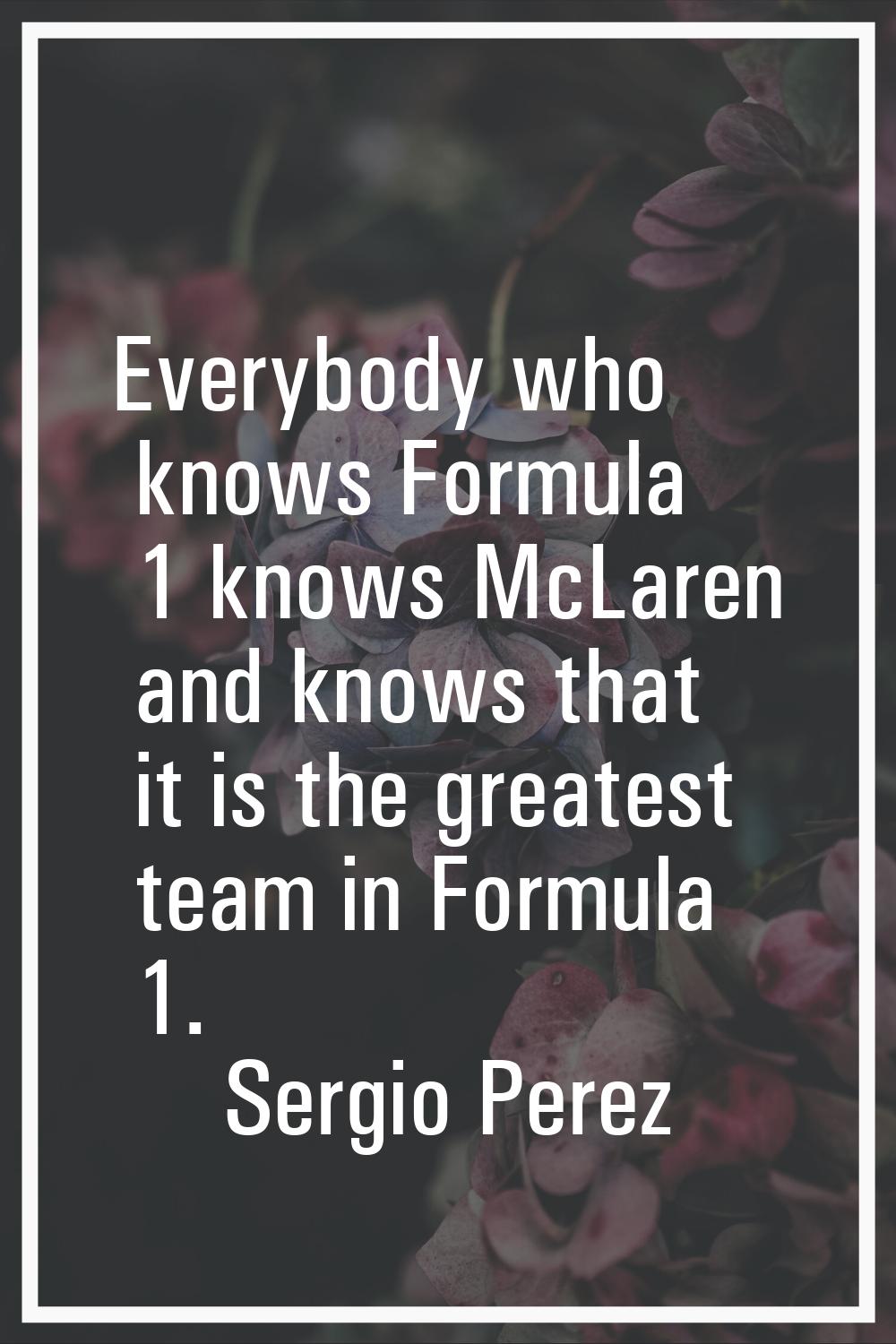 Everybody who knows Formula 1 knows McLaren and knows that it is the greatest team in Formula 1.