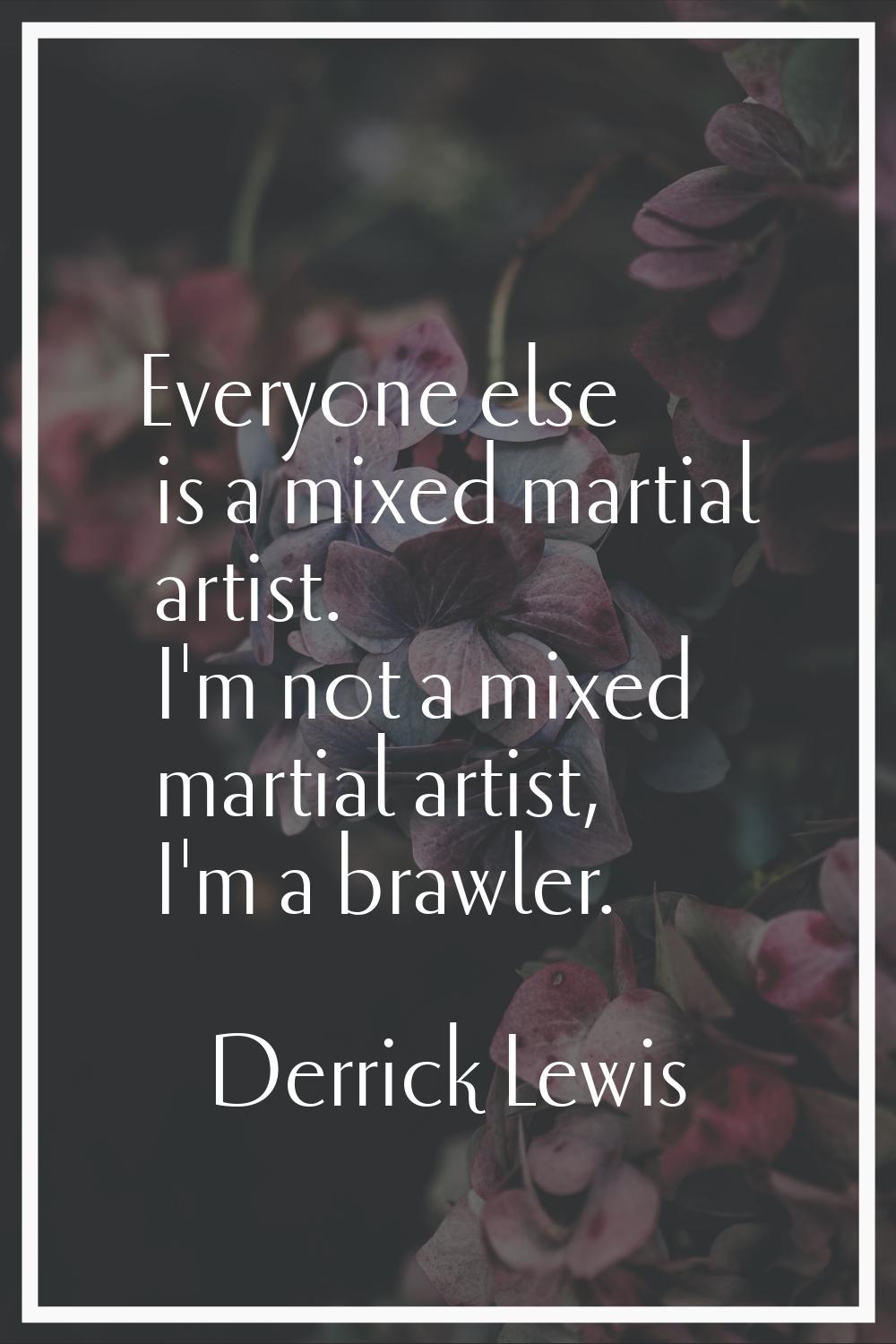 Everyone else is a mixed martial artist. I'm not a mixed martial artist, I'm a brawler.