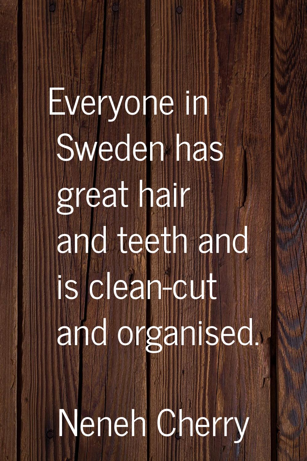 Everyone in Sweden has great hair and teeth and is clean-cut and organised.