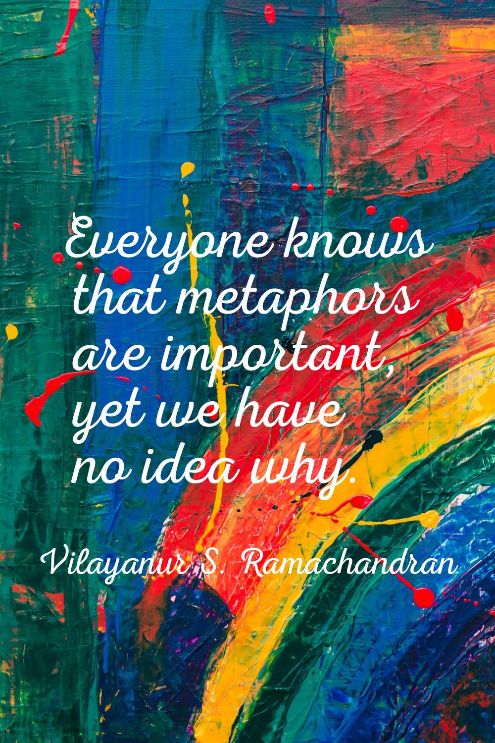 Everyone knows that metaphors are important, yet we have no idea why.