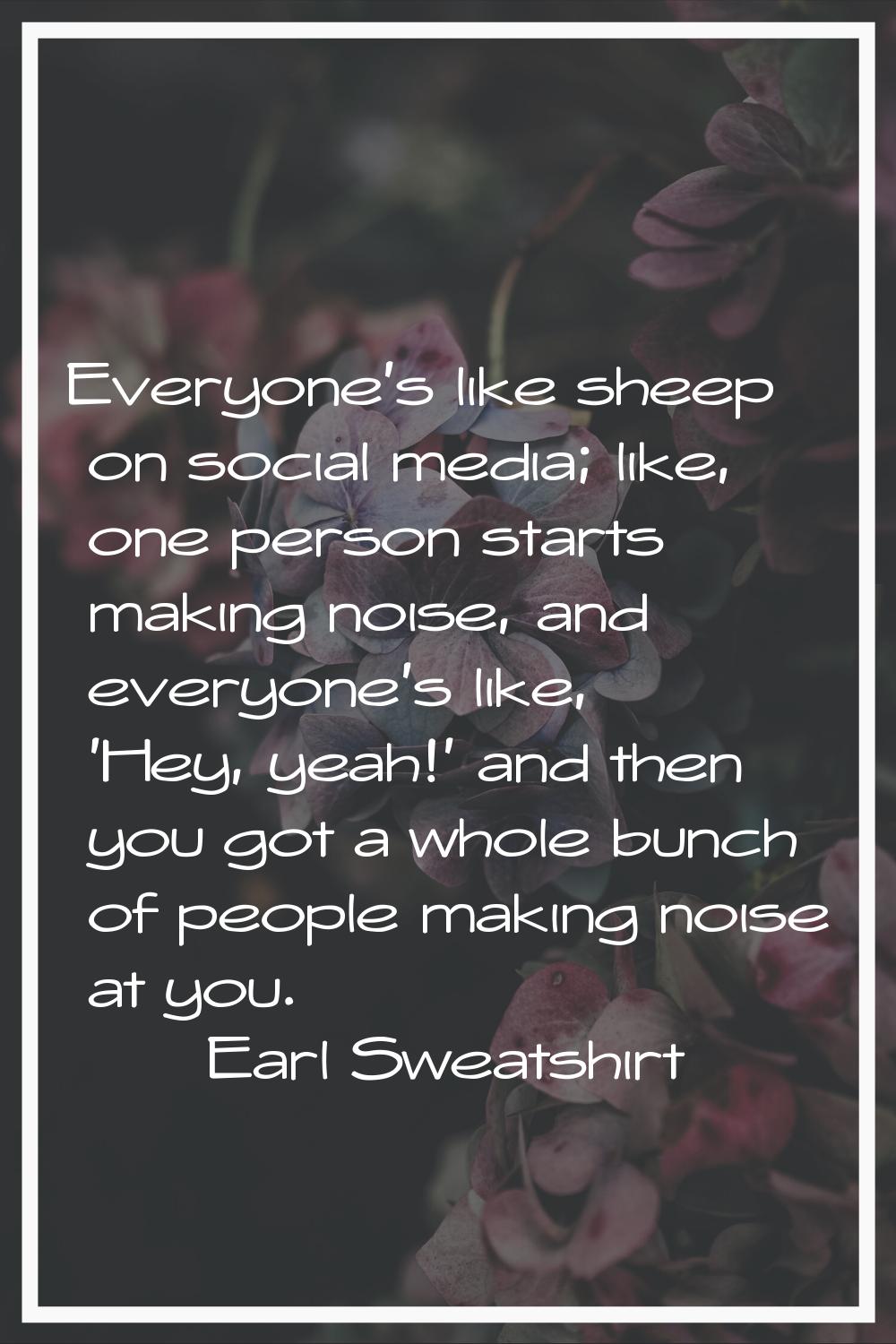 Everyone's like sheep on social media; like, one person starts making noise, and everyone's like, '