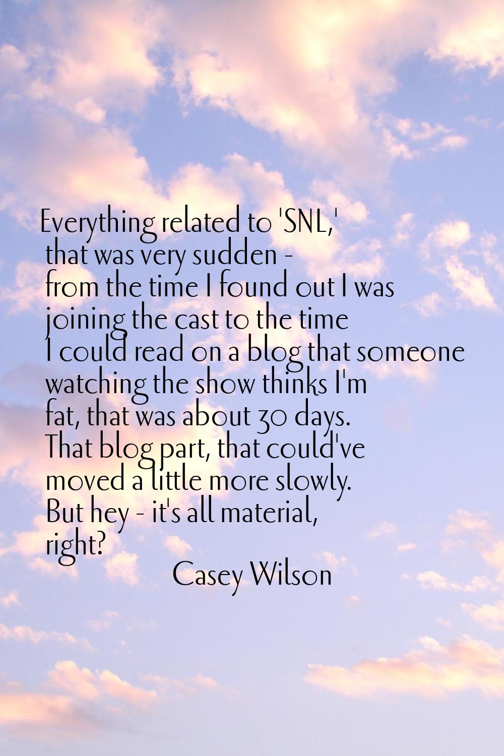 Everything related to 'SNL,' that was very sudden - from the time I found out I was joining the cas
