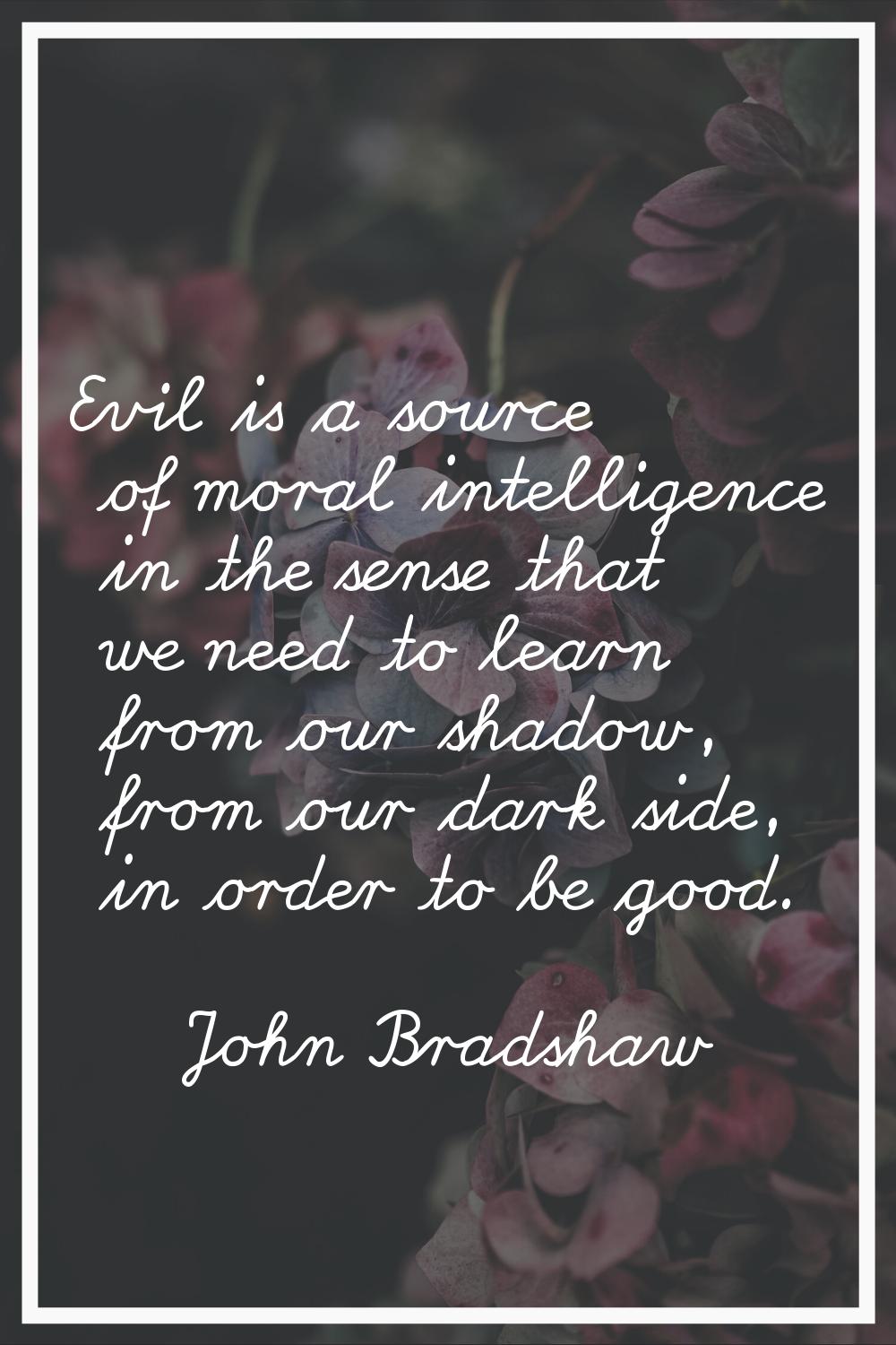 Evil is a source of moral intelligence in the sense that we need to learn from our shadow, from our