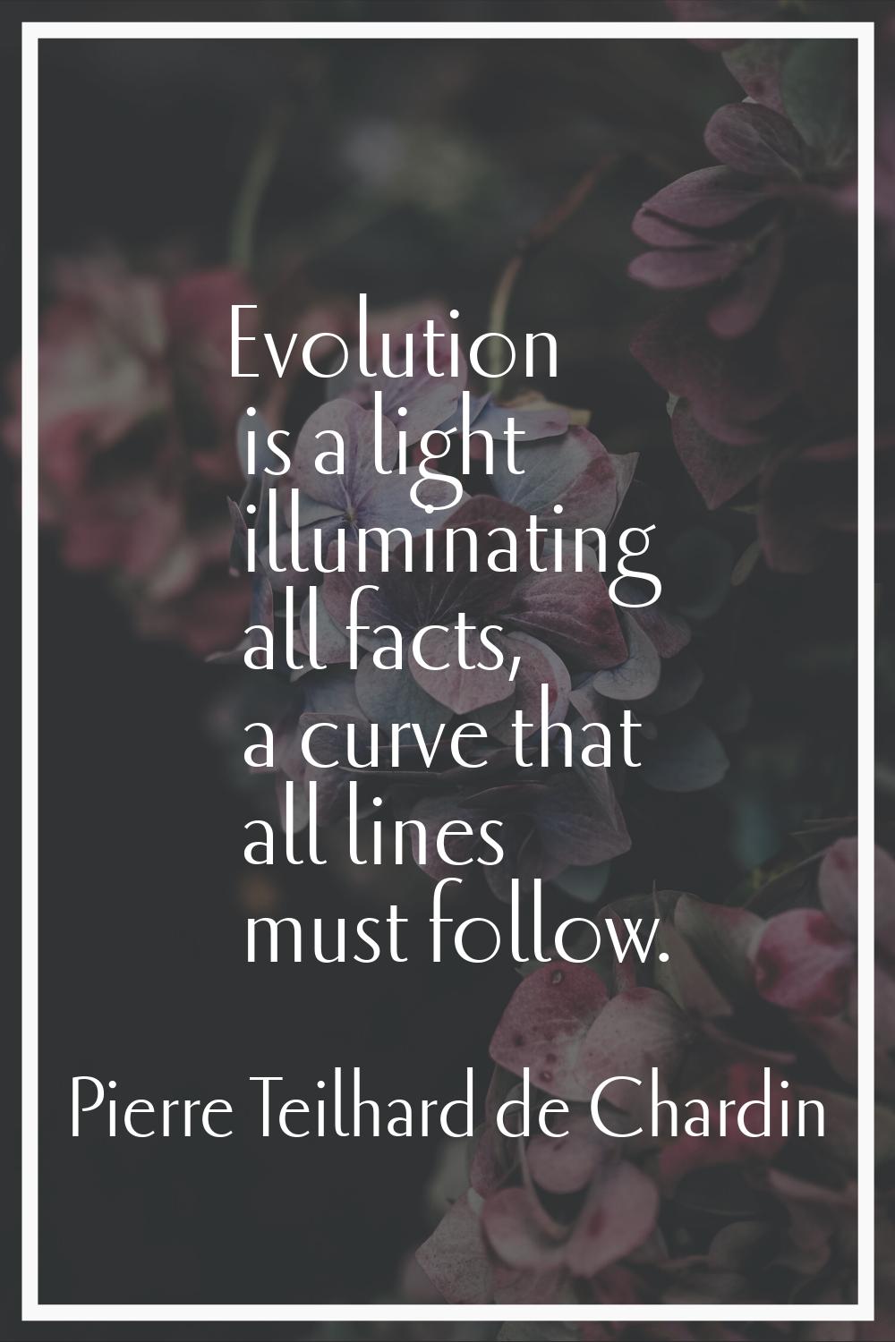 Evolution is a light illuminating all facts, a curve that all lines must follow.
