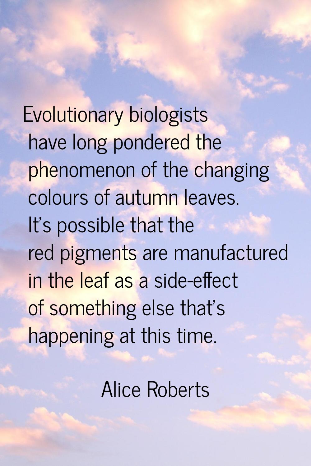 Evolutionary biologists have long pondered the phenomenon of the changing colours of autumn leaves.