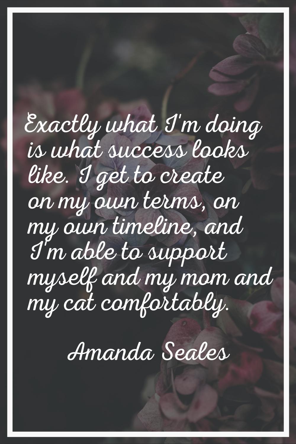 Exactly what I'm doing is what success looks like. I get to create on my own terms, on my own timel