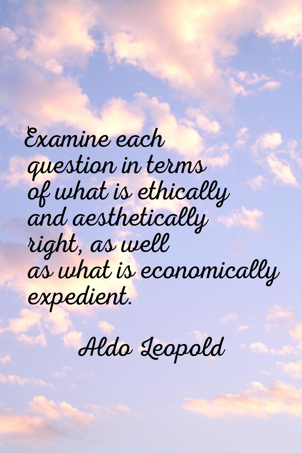 Examine each question in terms of what is ethically and aesthetically right, as well as what is eco