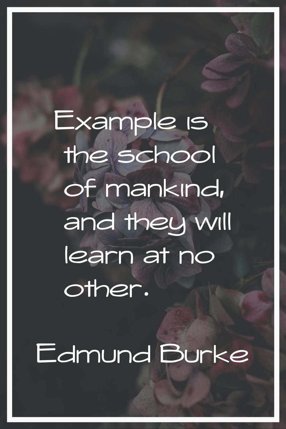 Example is the school of mankind, and they will learn at no other.