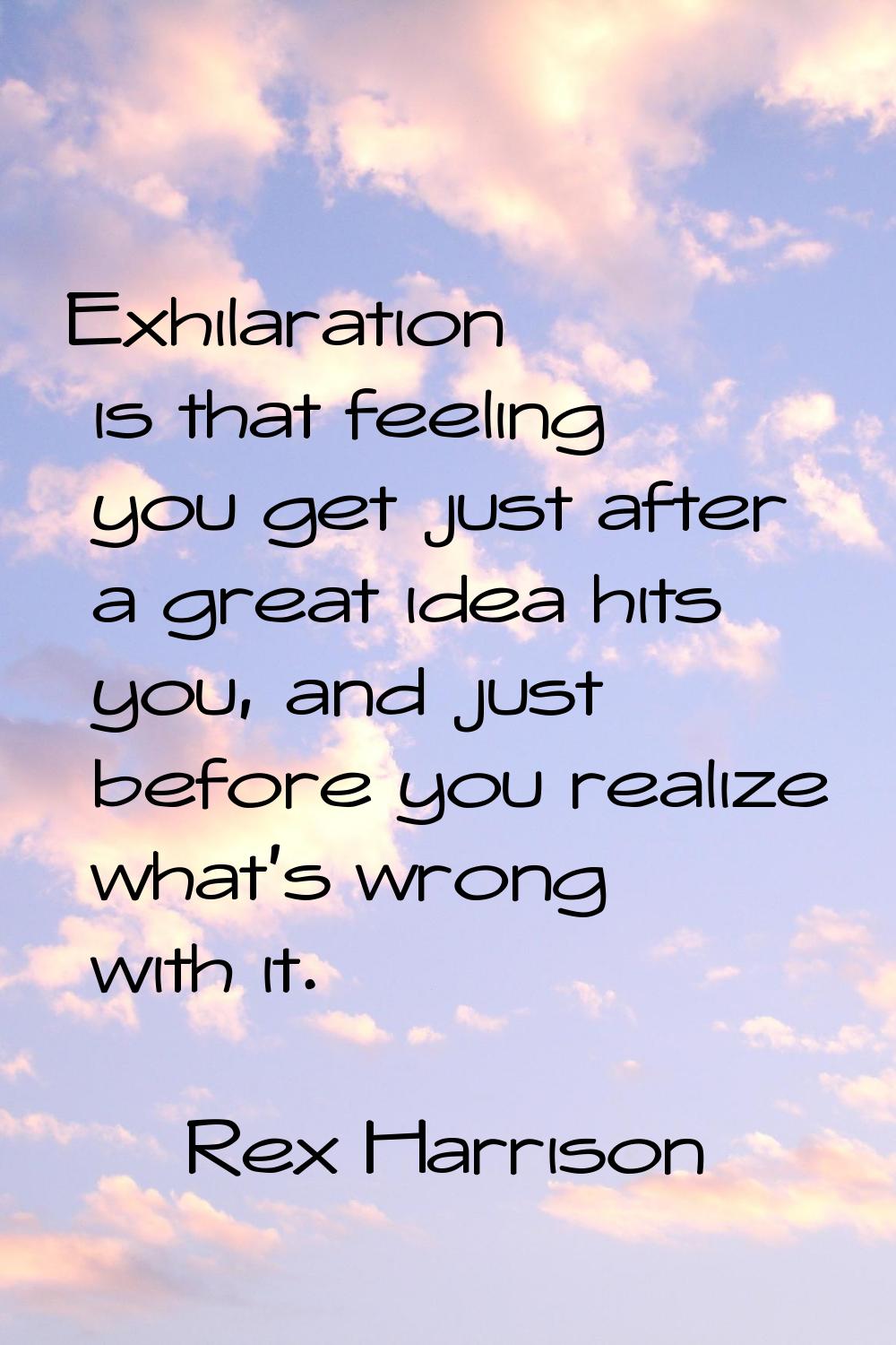 Exhilaration is that feeling you get just after a great idea hits you, and just before you realize 
