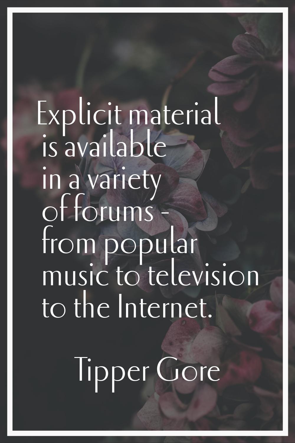 Explicit material is available in a variety of forums - from popular music to television to the Int